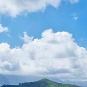 Meet your Posher, Vera